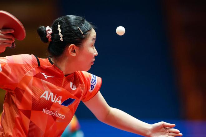 叹为观止 叹为观止