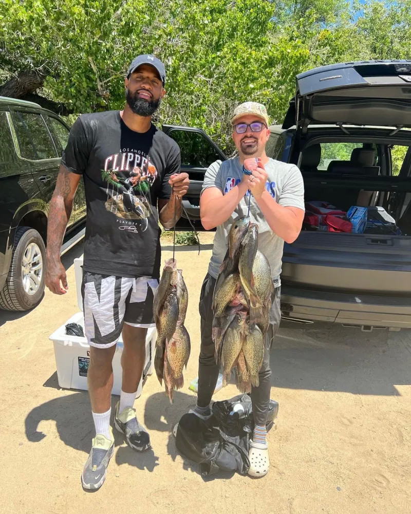 会分成比例 会分成比例